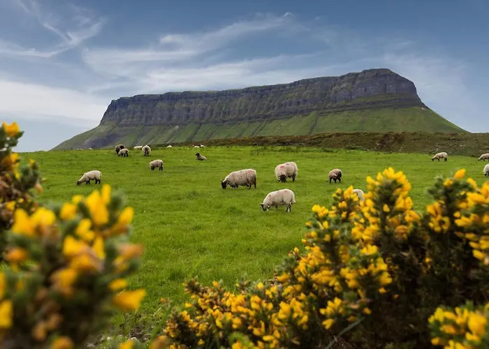 Hotel Milligan Court *